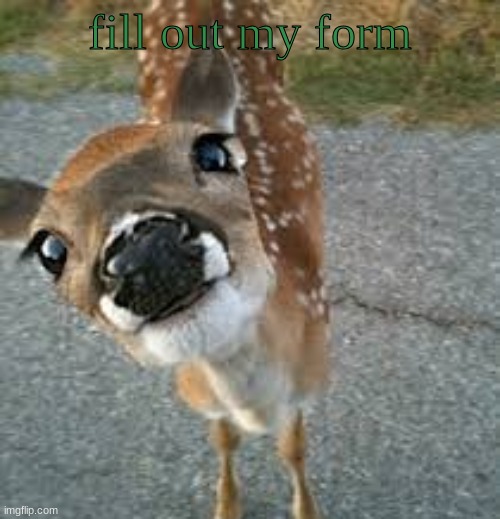 https://forms.gle/7e5qP3EwKo6KRYGu9 | fill out my form | image tagged in ashercore | made w/ Imgflip meme maker