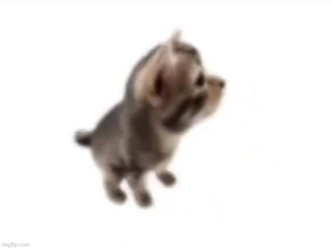 El gatito | image tagged in el gatito | made w/ Imgflip meme maker