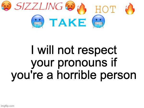 sizzling hot take | I will not respect your pronouns if you're a horrible person | image tagged in sizzling hot take | made w/ Imgflip meme maker