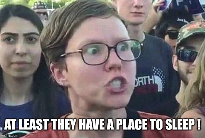 Triggered Liberal | AT LEAST THEY HAVE A PLACE TO SLEEP ! | image tagged in triggered liberal | made w/ Imgflip meme maker
