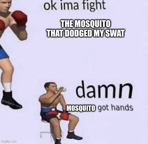 I h8 them | THE MOSQUITO THAT DODGED MY SWAT; MOSQUITO | image tagged in damn got hands | made w/ Imgflip meme maker
