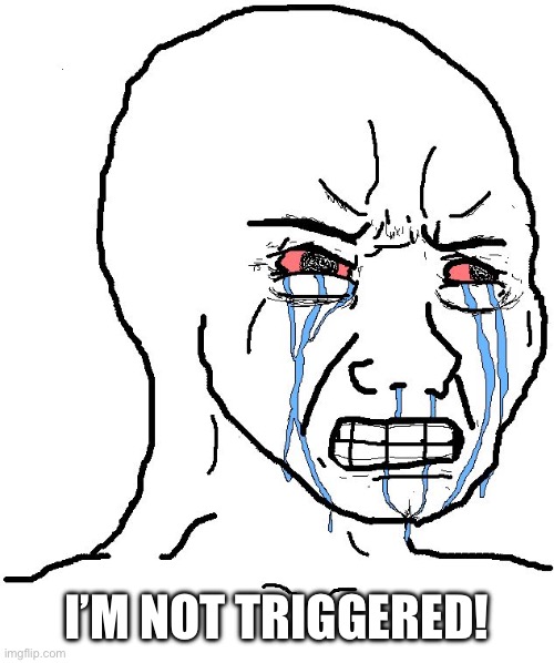 Angry Wojak | I’M NOT TRIGGERED! | image tagged in angry wojak | made w/ Imgflip meme maker