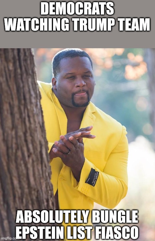 There goes the midterms | DEMOCRATS WATCHING TRUMP TEAM; ABSOLUTELY BUNGLE EPSTEIN LIST FIASCO | image tagged in anthony adams rubbing hands | made w/ Imgflip meme maker