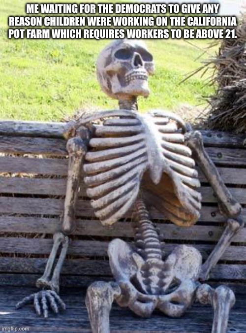 Waiting Skeleton | ME WAITING FOR THE DEMOCRATS TO GIVE ANY REASON CHILDREN WERE WORKING ON THE CALIFORNIA POT FARM WHICH REQUIRES WORKERS TO BE ABOVE 21. | image tagged in memes,waiting skeleton | made w/ Imgflip meme maker