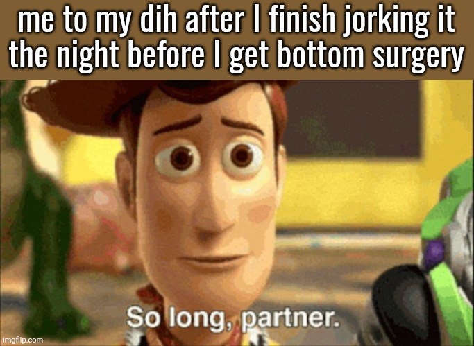 farewell lil guy | me to my dih after I finish jorking it
the night before I get bottom surgery | image tagged in so long partner | made w/ Imgflip meme maker