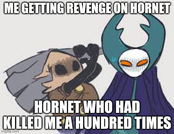 cloth | ME GETTING REVENGE ON HORNET; HORNET WHO HAD KILLED ME A HUNDRED TIMES | image tagged in cloth | made w/ Imgflip meme maker