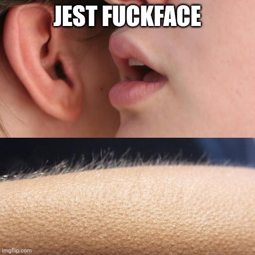 Whisper and Goosebumps | JEST FUCKFACE | image tagged in whisper and goosebumps | made w/ Imgflip meme maker
