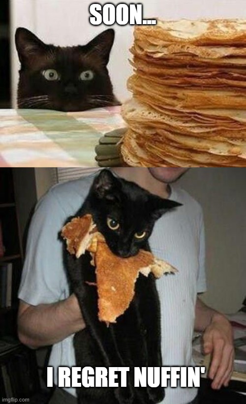 Cat Cakes | SOON... I REGRET NUFFIN' | image tagged in cats | made w/ Imgflip meme maker