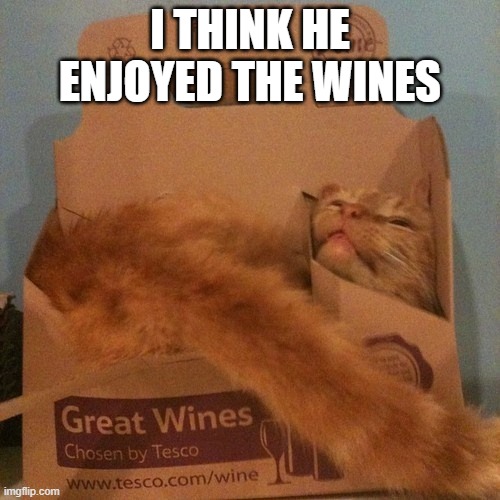 Wine Cat | I THINK HE ENJOYED THE WINES | image tagged in cats | made w/ Imgflip meme maker