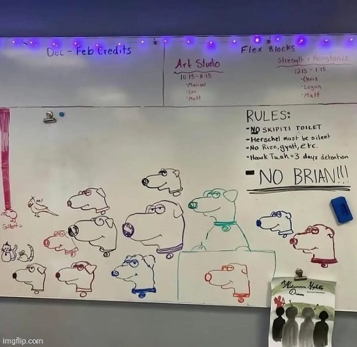 No brian | made w/ Imgflip meme maker