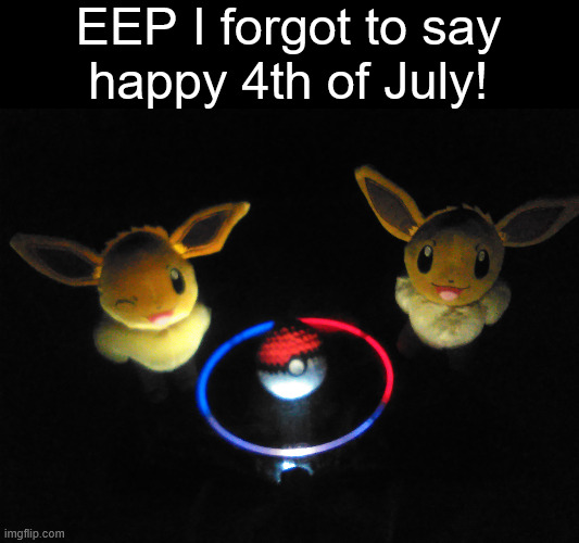 This picture was infact taken the night of the 5th | EEP I forgot to say
happy 4th of July! | image tagged in eevee,plush,4th of july | made w/ Imgflip meme maker