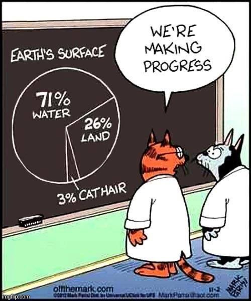 They’re making progress… | image tagged in cats,comics,off the mark,cat hair | made w/ Imgflip meme maker