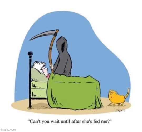Priorities… | image tagged in cats,comics,grim reaper,feed the cat | made w/ Imgflip meme maker