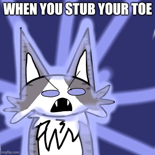 WHEN YOU STUB YOUR TOE (can't put in fun stream) | WHEN YOU STUB YOUR TOE | image tagged in big boi catto boi saga ubercharge,rage,pain | made w/ Imgflip meme maker