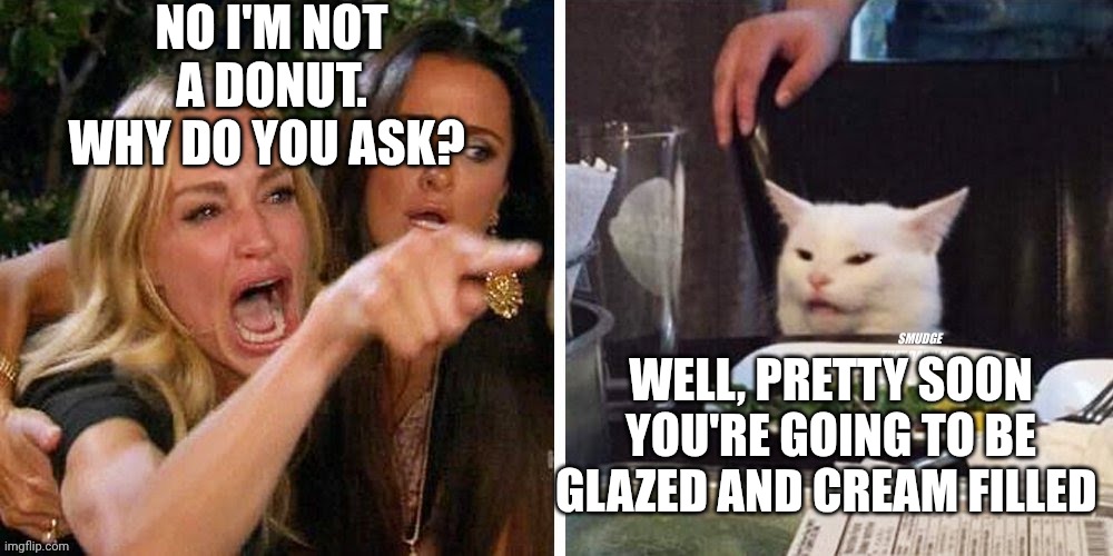 Smudge that darn cat with Karen | NO I'M NOT A DONUT. WHY DO YOU ASK? WELL, PRETTY SOON YOU'RE GOING TO BE GLAZED AND CREAM FILLED | image tagged in smudge that darn cat with karen | made w/ Imgflip meme maker