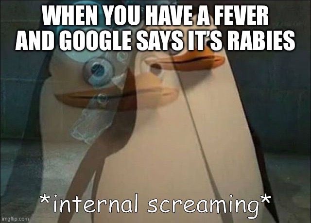 Private Internal Screaming | WHEN YOU HAVE A FEVER AND GOOGLE SAYS IT’S RABIES | image tagged in private internal screaming | made w/ Imgflip meme maker