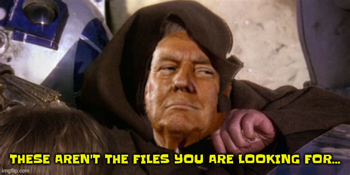 Who's more the fool or the fools who follow him | THESE AREN'T THE FILES YOU ARE LOOKING FOR... | image tagged in these aren't the files you are looking for,maga mind trick,easily led | made w/ Imgflip meme maker