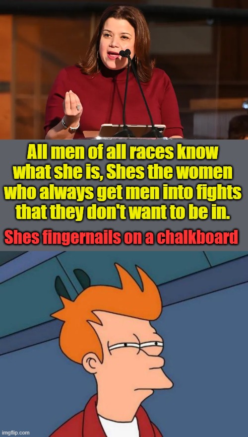 All men of all races know what she is, Shes the women who always get men into fights that they don't want to be in. Shes fingernails on a chalkboard | image tagged in memes,futurama fry | made w/ Imgflip meme maker