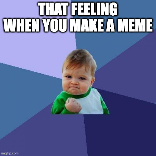 Success Kid | THAT FEELING WHEN YOU MAKE A MEME | image tagged in memes,success kid | made w/ Imgflip meme maker