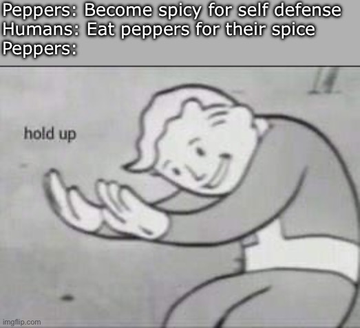 What’s next, eating cactus for their spikes? | Peppers: Become spicy for self defense
Humans: Eat peppers for their spice
Peppers: | image tagged in fallout hold up,memes,funny,peppers,spicy | made w/ Imgflip meme maker