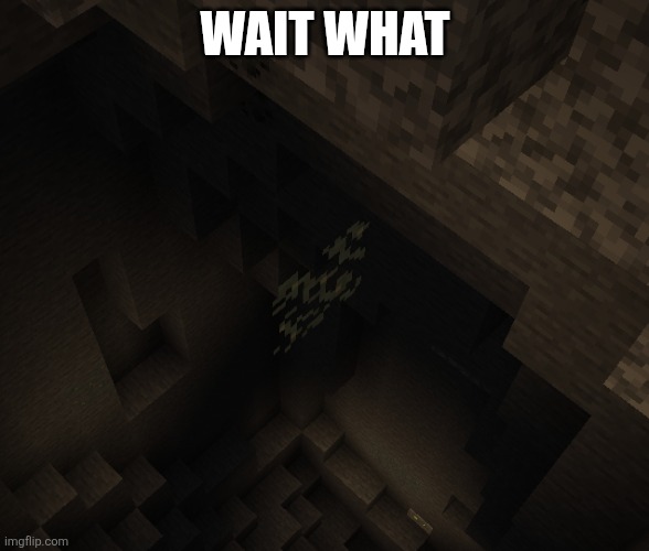What does the sign say? | WAIT WHAT | image tagged in what,cursed,how,minecraft | made w/ Imgflip meme maker