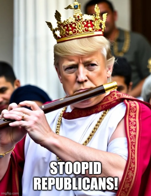 King flute | STOOPID REPUBLICANS! | image tagged in king flute | made w/ Imgflip meme maker