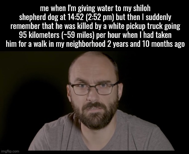 OR IS IT?! | me when I'm giving water to my shiloh shepherd dog at 14:52 (2:52 pm) but then I suddenly remember that he was killed by a white pickup truck going 95 kilometers (~59 miles) per hour when I had taken him for a walk in my neighborhood 2 years and 10 months ago | image tagged in or is it | made w/ Imgflip meme maker