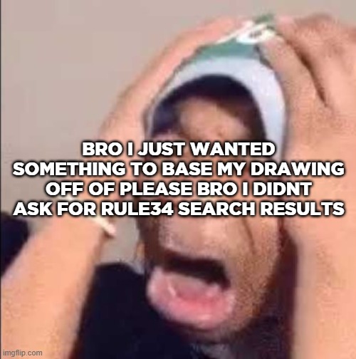 Flightreacts crying | BRO I JUST WANTED SOMETHING TO BASE MY DRAWING OFF OF PLEASE BRO I DIDNT ASK FOR RULE34 SEARCH RESULTS | image tagged in flightreacts crying | made w/ Imgflip meme maker