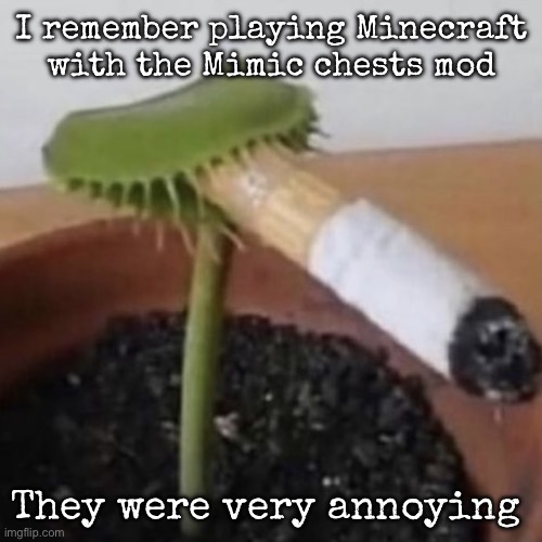My name is edwin | I remember playing Minecraft with the Mimic chests mod; They were very annoying | image tagged in plant weeds,edwin | made w/ Imgflip meme maker