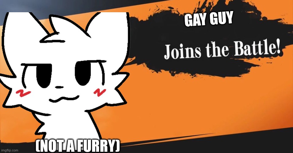 Smash Bros. | GAY GUY (NOT A FURRY) | image tagged in smash bros | made w/ Imgflip meme maker