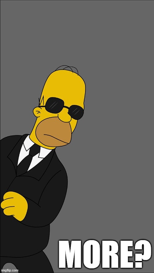 Homer Simpson Glasses | MORE? | image tagged in homer fbi in minecraft | made w/ Imgflip meme maker