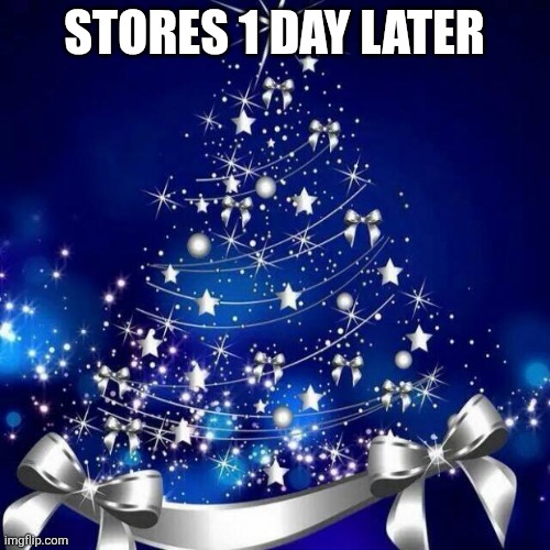 STORES 1 DAY LATER | image tagged in merry christmas | made w/ Imgflip meme maker