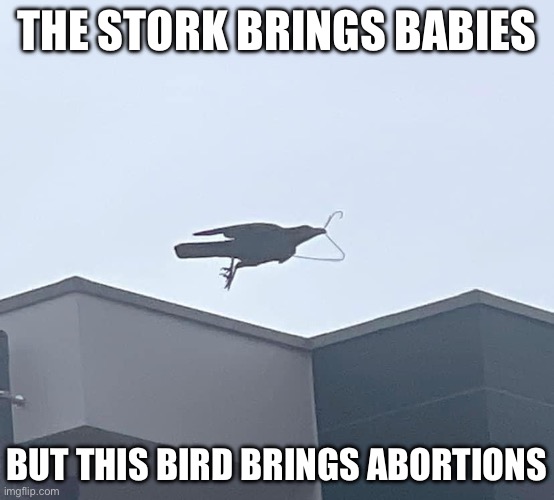 Stork | THE STORK BRINGS BABIES; BUT THIS BIRD BRINGS ABORTIONS | image tagged in crow with coat hanger,abortion,stork,bird | made w/ Imgflip meme maker