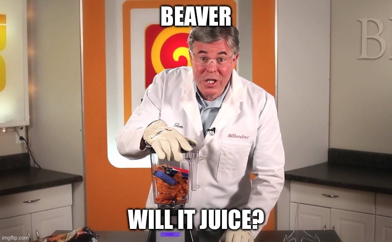 Beaver | BEAVER; WILL IT JUICE? | image tagged in will it blend,blender,juice,beaver | made w/ Imgflip meme maker