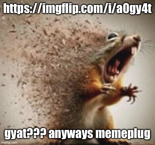 badass squirrel disintegrating | https://imgflip.com/i/a0gy4t; gyat??? anyways memeplug | image tagged in badass squirrel disintegrating | made w/ Imgflip meme maker