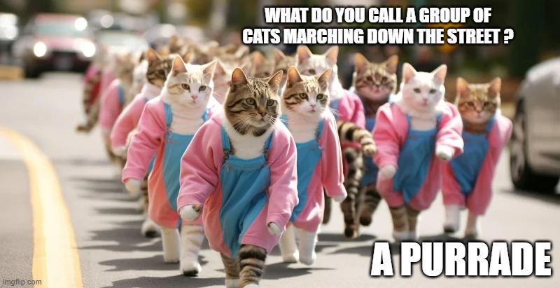 What do you call a group of cats marching down the street?........ A purrade. | WHAT DO YOU CALL A GROUP OF CATS MARCHING DOWN THE STREET ? A PURRADE | image tagged in cats,funny,kittens,parade,humor,play on words | made w/ Imgflip meme maker