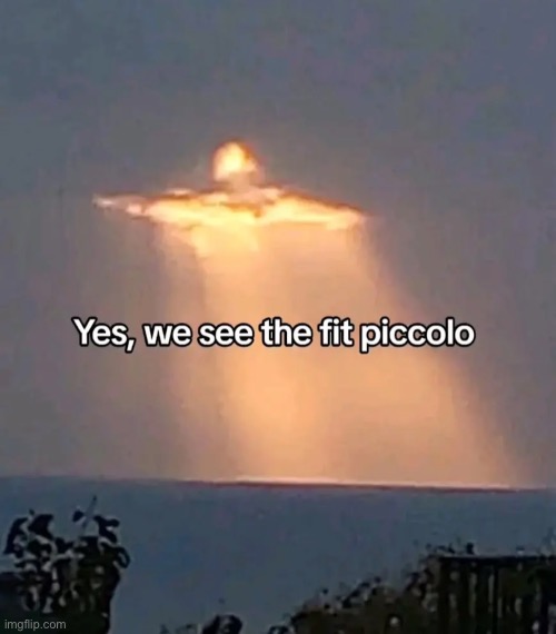 Piccolo stop aura farming | image tagged in piccolo,dbz,anime,we see the fit | made w/ Imgflip meme maker