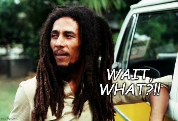 Bob Marley | WAIT,
WHAT?!! | image tagged in bob marley | made w/ Imgflip meme maker