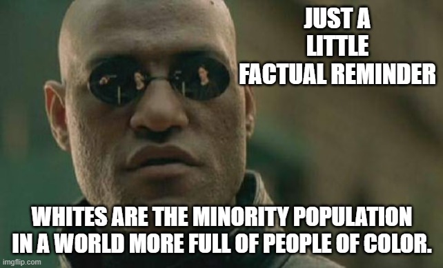 But that's not DEI was all about, it's about destroying the United States for all colors of people. | JUST A LITTLE FACTUAL REMINDER; WHITES ARE THE MINORITY POPULATION IN A WORLD MORE FULL OF PEOPLE OF COLOR. | image tagged in memes,matrix morpheus | made w/ Imgflip meme maker