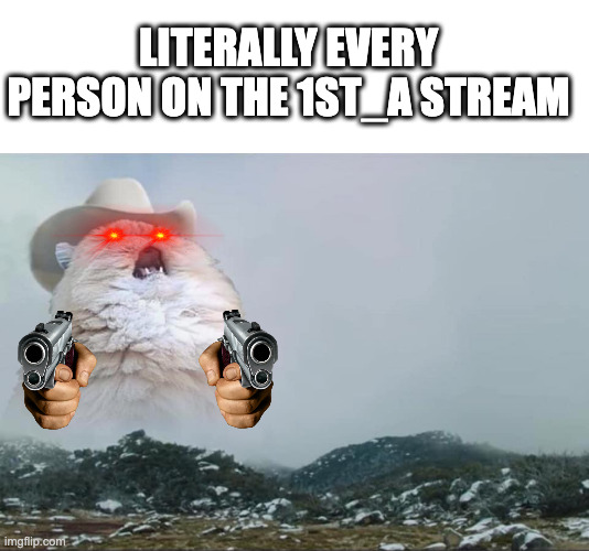 ladies and gentlemen the "say whatever the heck you want" stram is finaly here come and check it out! | LITERALLY EVERY PERSON ON THE 1ST_A STREAM | image tagged in blank white template,screaming cowboy cat | made w/ Imgflip meme maker