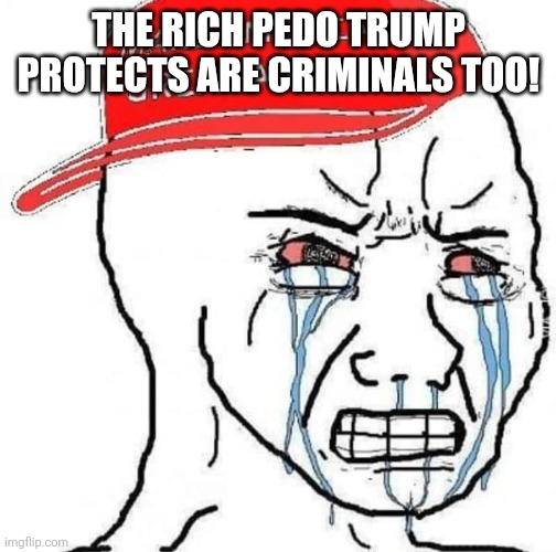 Triying maga hat | THE RICH PEDO TRUMP PROTECTS ARE CRIMINALS TOO! | image tagged in triying maga hat | made w/ Imgflip meme maker