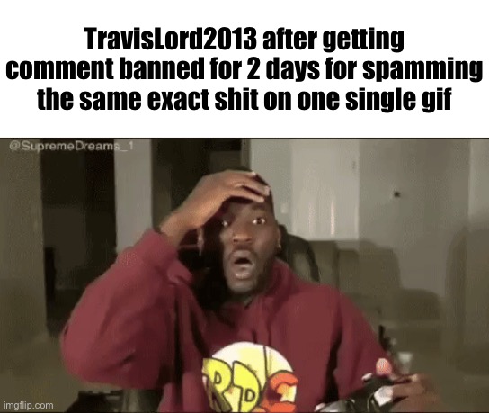 TravisLord2013 after getting comment banned for 2 days for spamming the same exact shit on one single gif | made w/ Imgflip meme maker