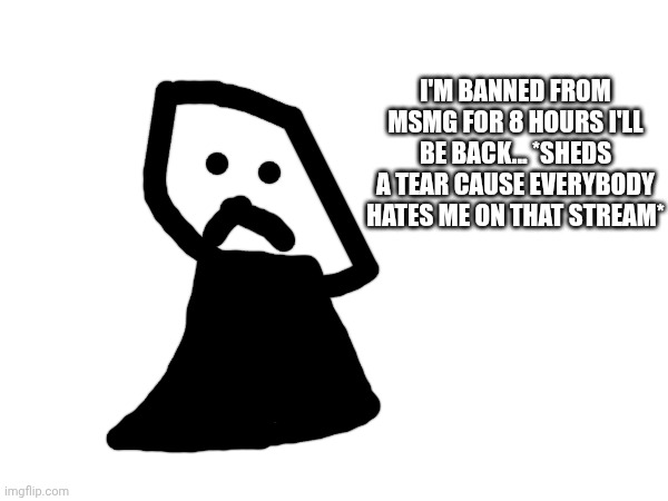 I'M BANNED FROM MSMG FOR 8 HOURS I'LL BE BACK... *SHEDS A TEAR CAUSE EVERYBODY HATES ME ON THAT STREAM* | made w/ Imgflip meme maker