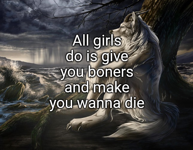 Sitting Wolf | All girls do is give you boners and make you wanna die | image tagged in sitting wolf | made w/ Imgflip meme maker