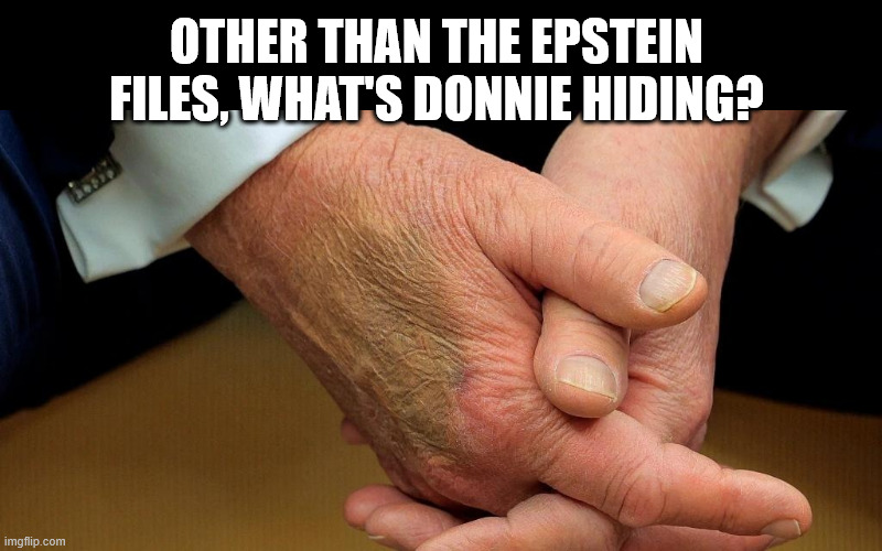 OTHER THAN THE EPSTEIN FILES, WHAT'S DONNIE HIDING? | made w/ Imgflip meme maker
