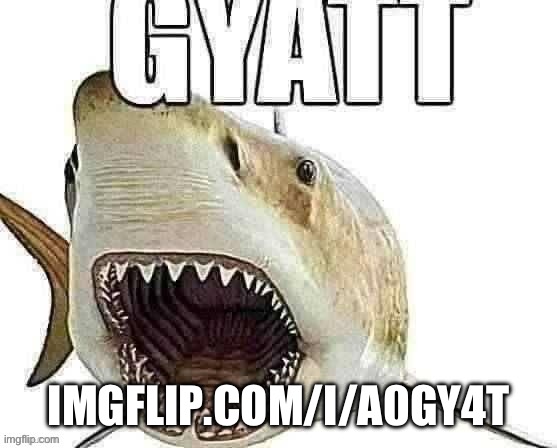 Shark gyatt | IMGFLIP.COM/I/A0GY4T | image tagged in shark gyatt | made w/ Imgflip meme maker