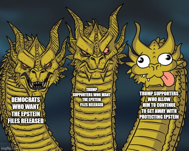 There are Trump supporters with common sense but also some not so much | TRUMP SUPPORTERS WHO WANT THE EPSTEIN FILES RELEASED; TRUMP SUPPORTERS WHO ALLOW HIM TO CONTINUE TO GET AWAY WITH PROTECTING EPSTEIN; DEMOCRATS WHO WANT THE EPSTEIN FILES RELEASED | image tagged in three-headed dragon,donald trump,jeffrey epstein,stupidity,pedophilia | made w/ Imgflip meme maker