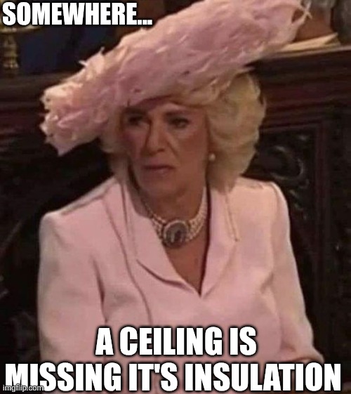 Somewhere A Ceiling Is Missing It's Insulation | SOMEWHERE... A CEILING IS MISSING IT'S INSULATION | image tagged in chris joines | made w/ Imgflip meme maker