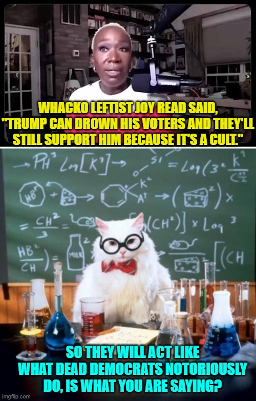 Logic is anathema to the political left. | WHACKO LEFTIST JOY READ SAID, "TRUMP CAN DROWN HIS VOTERS AND THEY'LL STILL SUPPORT HIM BECAUSE IT'S A CULT."; SO THEY WILL ACT LIKE WHAT DEAD DEMOCRATS NOTORIOUSLY DO, IS WHAT YOU ARE SAYING? | image tagged in yep | made w/ Imgflip meme maker