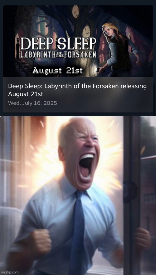 FINALLY LET’S GO | image tagged in biden lets go | made w/ Imgflip meme maker
